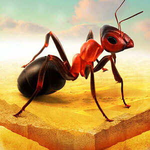 Ant Kingdom War